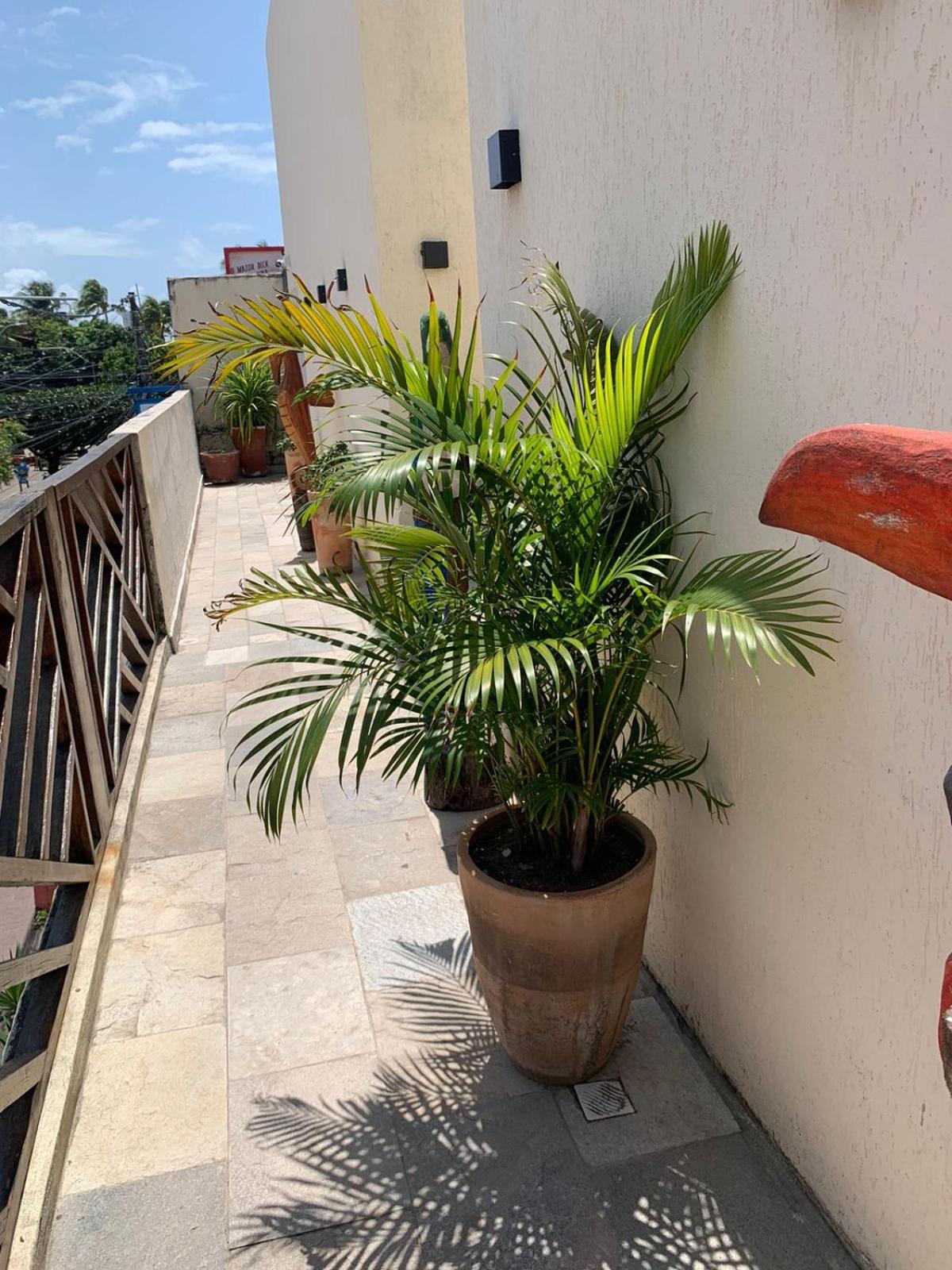 Villa Peixe Na Telha Pôrto das Galinhas Kültér fotó